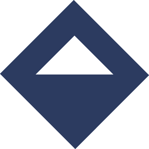 Reize LLC logo