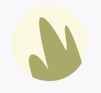event organizer logo