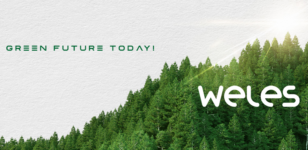 Weles Global — office