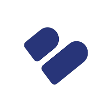 Big Projects logo