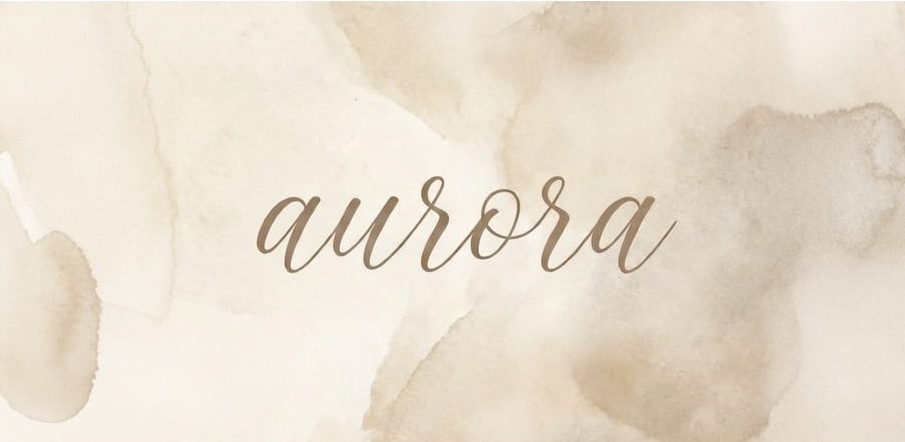 Aurora - office and team