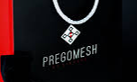 Pregomesh — office and team