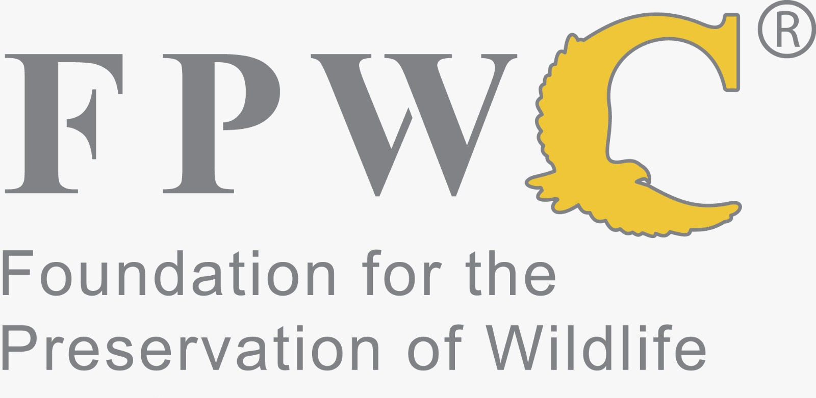 FPWC — office and team