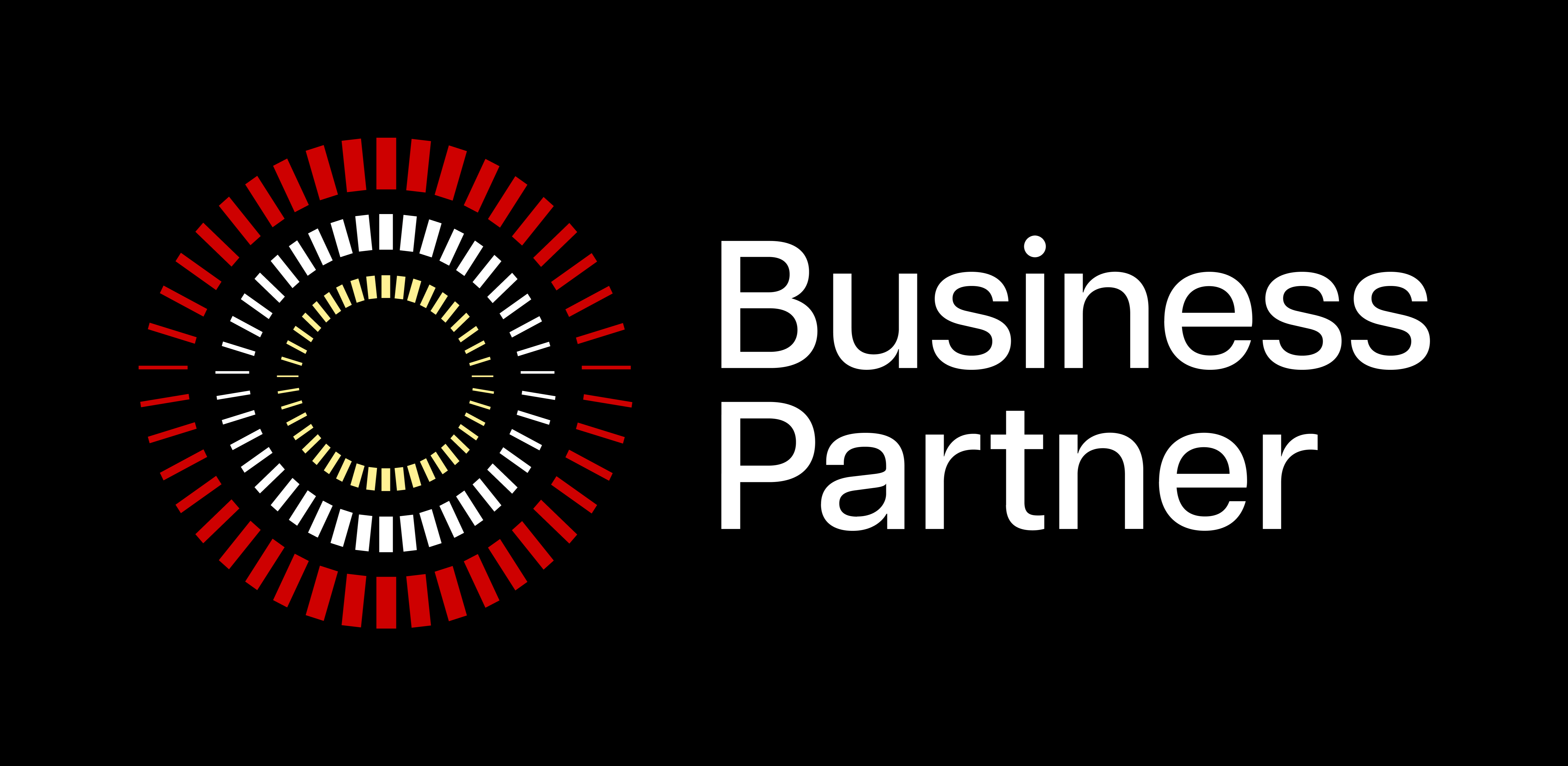 Business Partner LLC — office and team