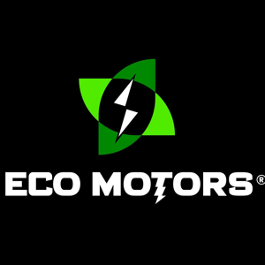 Էկոմոթորս logo