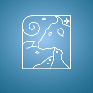 «Արնդանե» ՍՊԸ logo