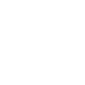 Strong Mind ngo logo