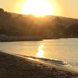 Mnatsakanyanshin LLC logo