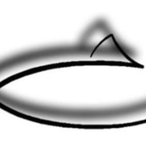 Invest Plus LLC logo