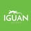 Iguan Systems LLC
